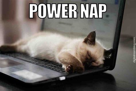 power nap meme.